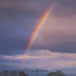 Meet your Posher, Brady